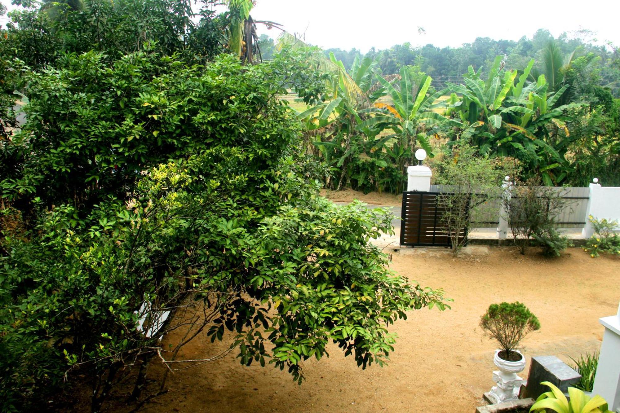The Breeze Pinnawala Pinnawala  Bagian luar foto